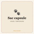 Sac de voyage capsule pour chat — visuel temporaire