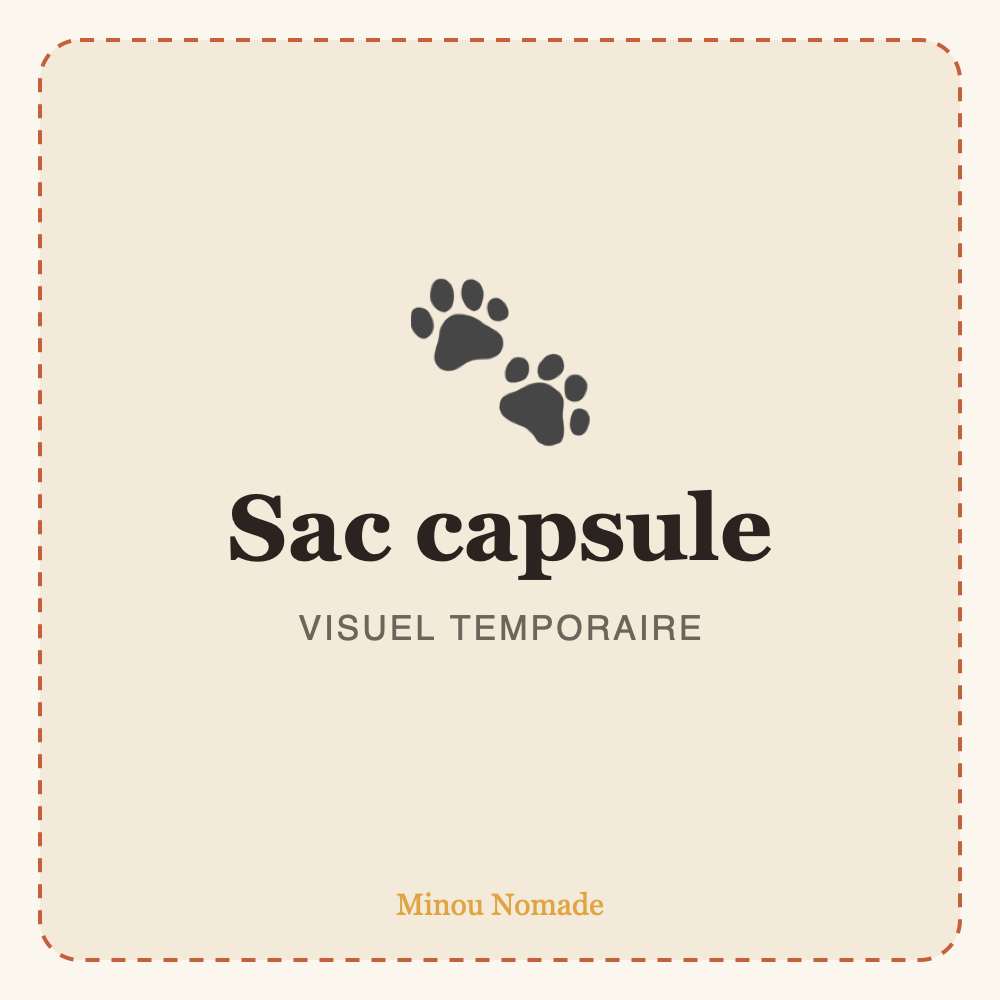 Sac de voyage capsule pour chat — visuel temporaire