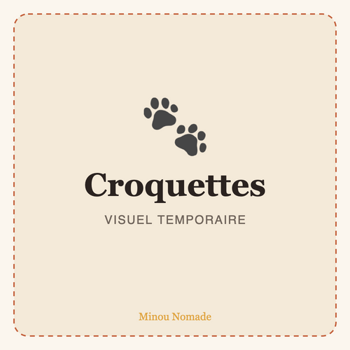Croquettes Premium pour Chat Adulte — visuel temporaire