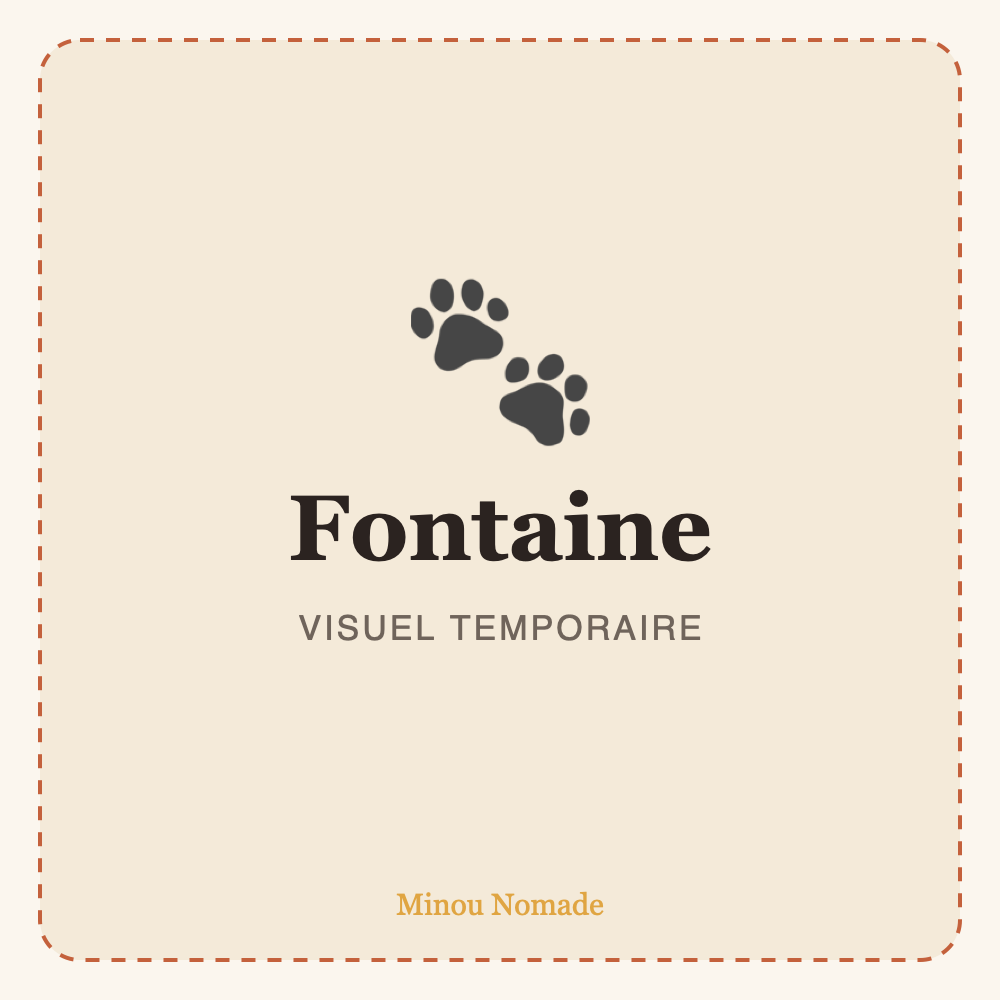 Fontaine à eau pour chat — visuel temporaire
