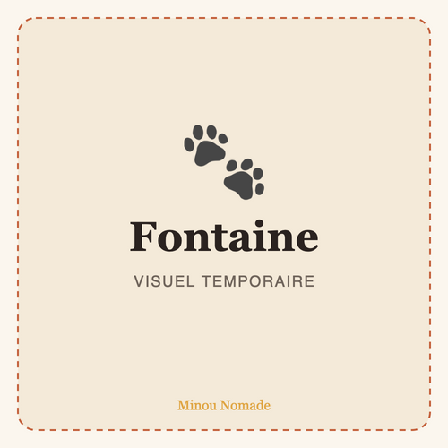 Fontaine à eau pour chat — visuel temporaire