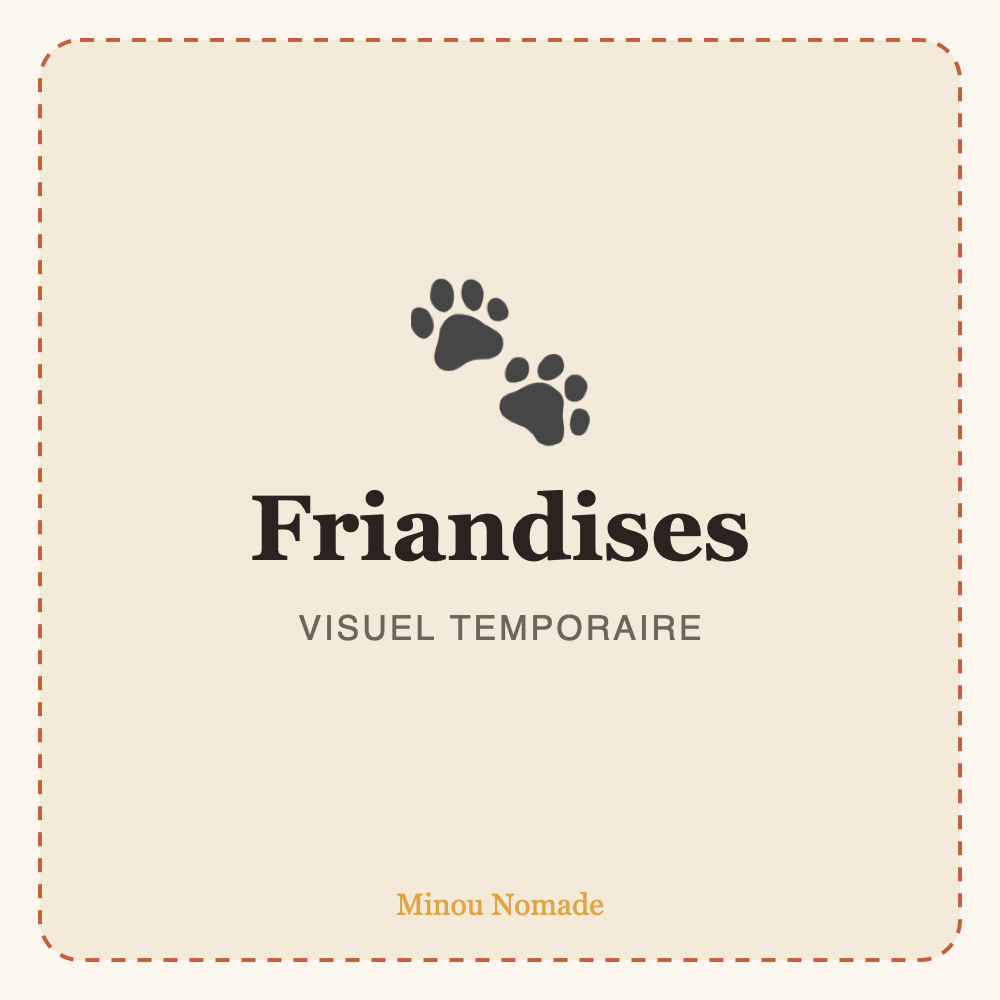 Friandises Dentaires à la Menthe — visuel temporaire