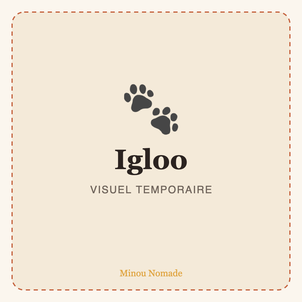 Igloo cocooning pour chat — visuel temporaire