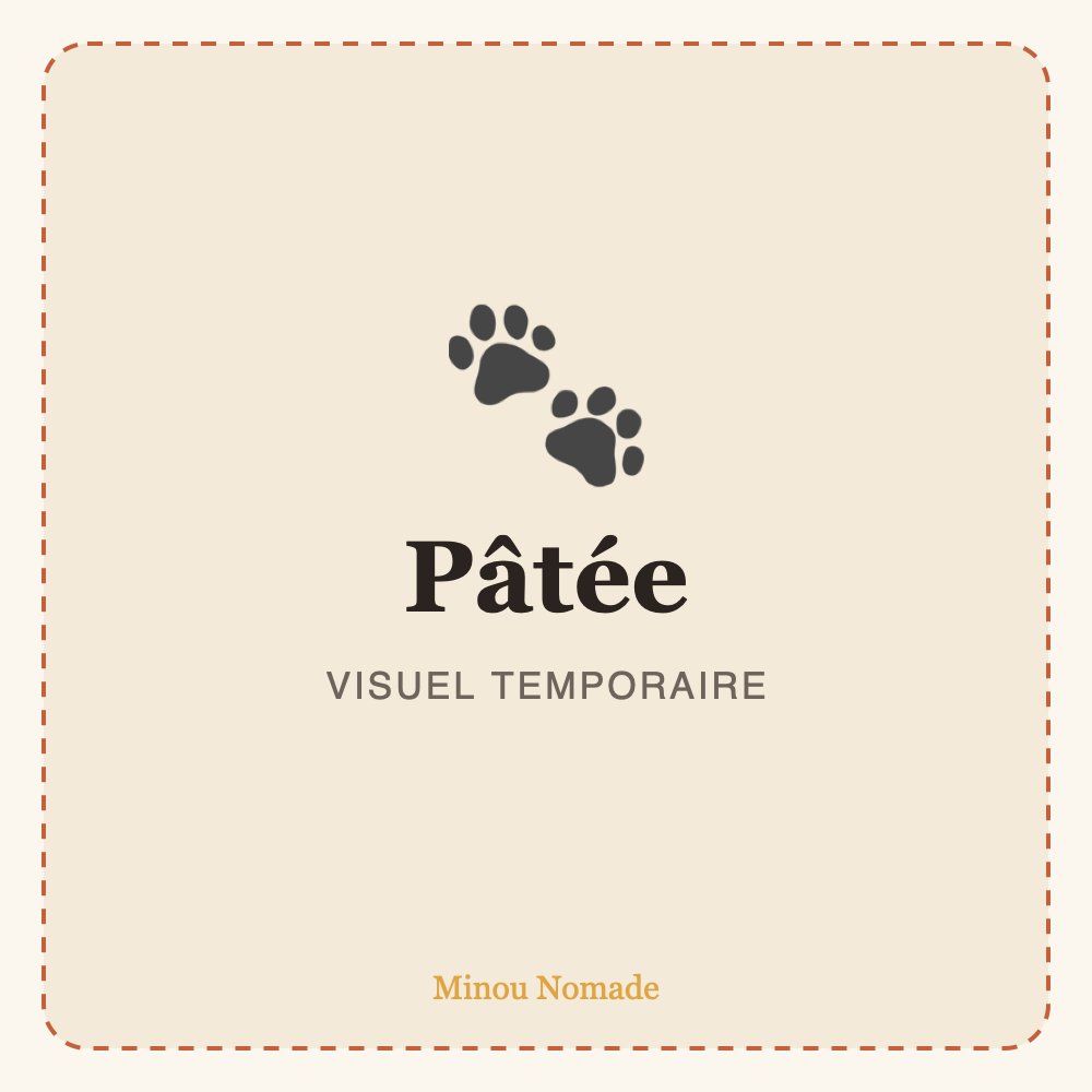 Pâtée Gourmande au Poulet — visuel temporaire