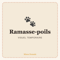 Ramasse-poils réutilisable — visuel temporaire