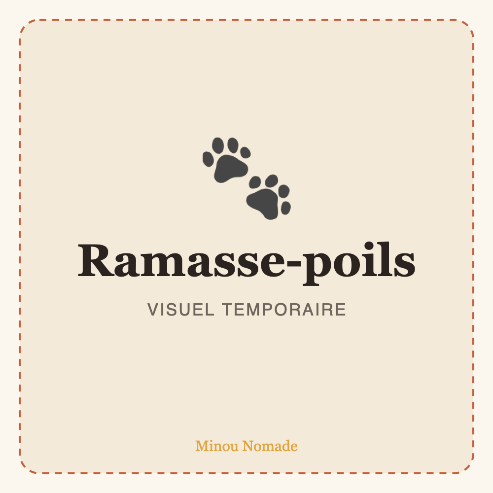Ramasse-poils réutilisable — visuel temporaire