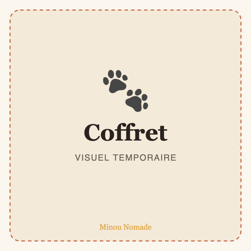 Coffret toilettage brosse et gant — visuel temporaire
